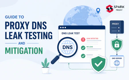 Guide to Proxy DNS Leak Testing and Mitigation