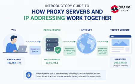 How Proxy Servers and IP Addressing Work Together