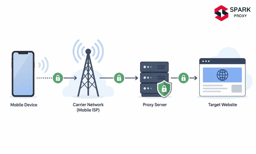 How Mobile Proxies Work: Cellular IPs and Carrier Routing