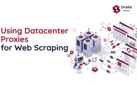 Using Datacenter Proxies for Web Scraping